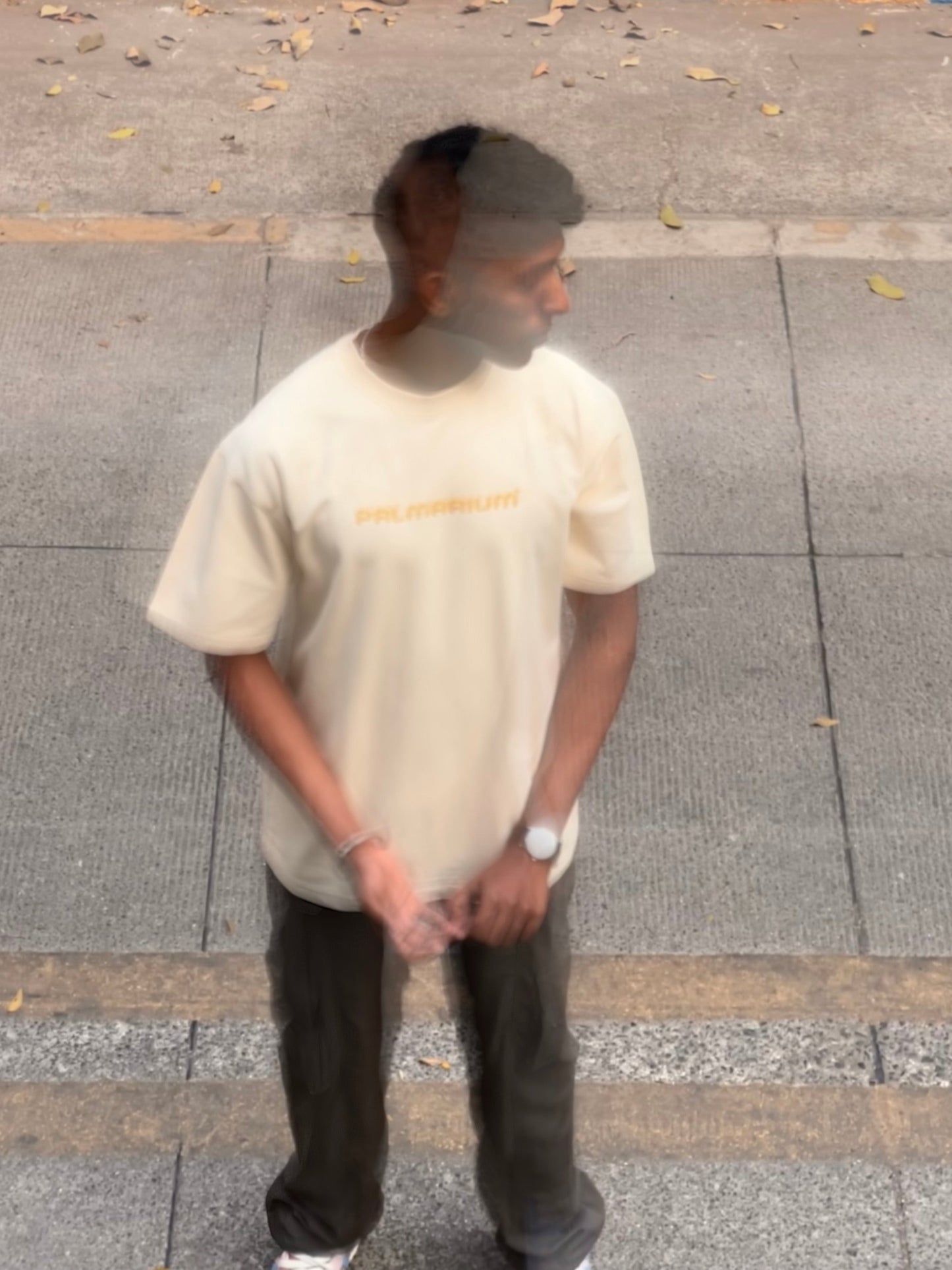 Beige Basic Tee
