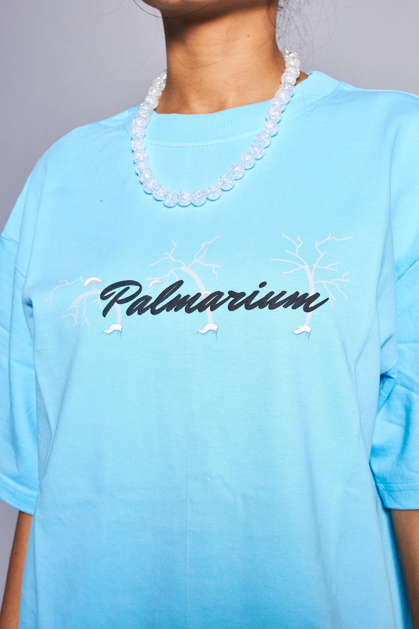 The World Of Palmarium
